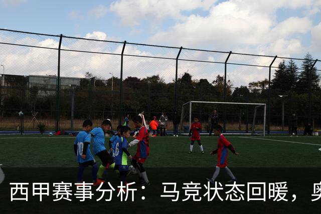 西甲赛事分析：马竞状态回暖，奥萨苏纳能否逆袭？